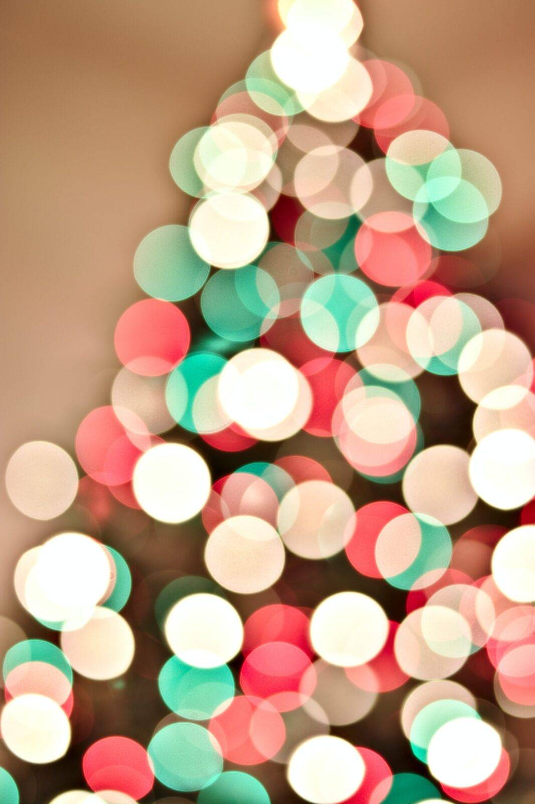 come nascono le luci di natale 2 scaled