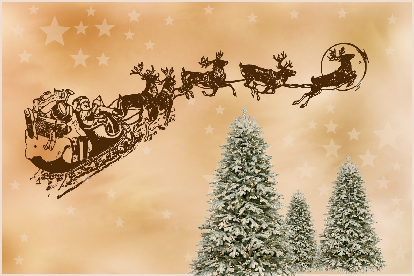 renne di babbo natale