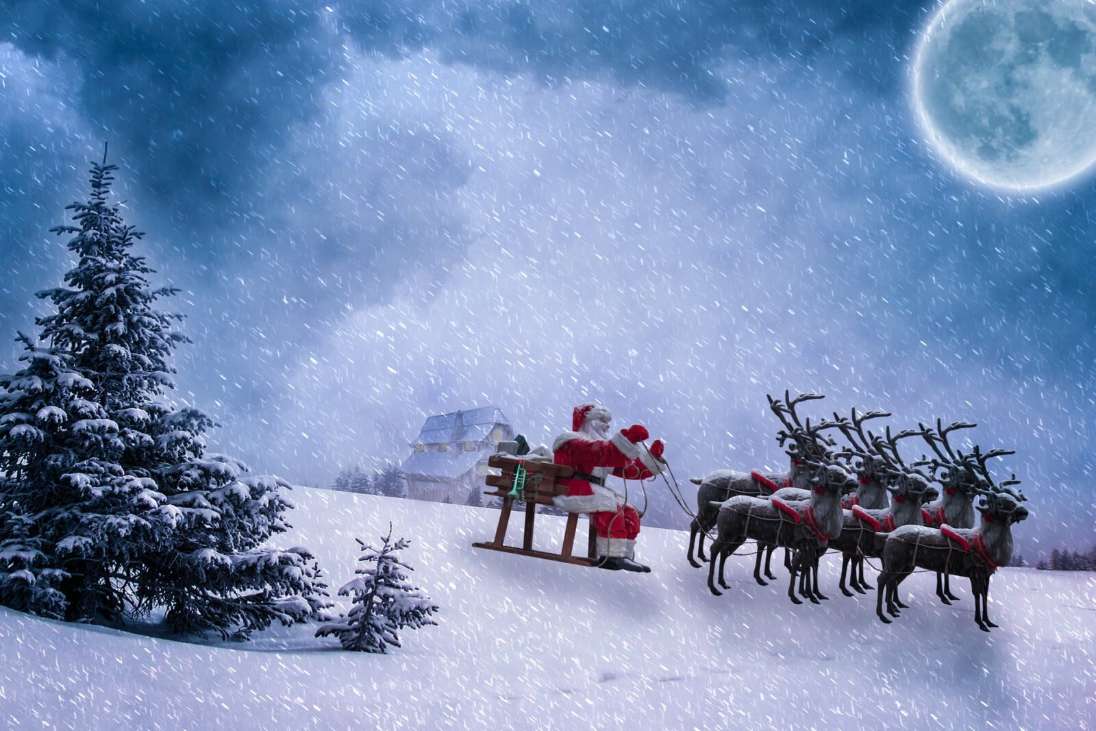 renne di babbo natale