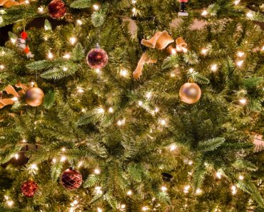 presepe nellalbero di natale 1